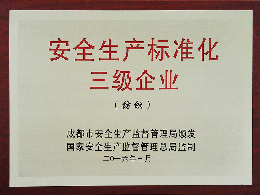 Level 3 Enterprise in Safety Production Standardization