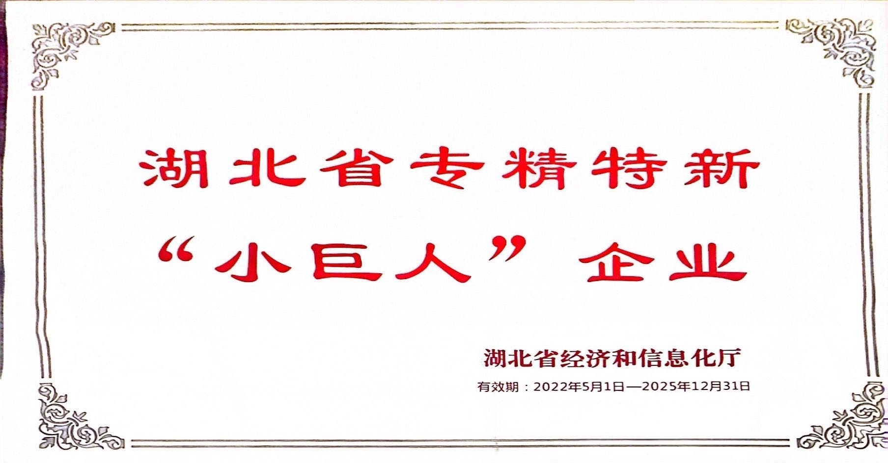 Hubei Province specialized and innovative small giant enterprises