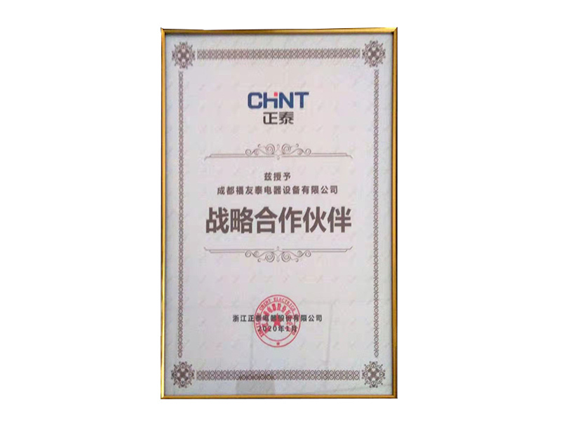 正泰戰(zhàn)略合作伙伴