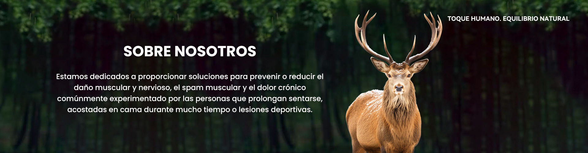 Sobre nosotros Sobre nosotros