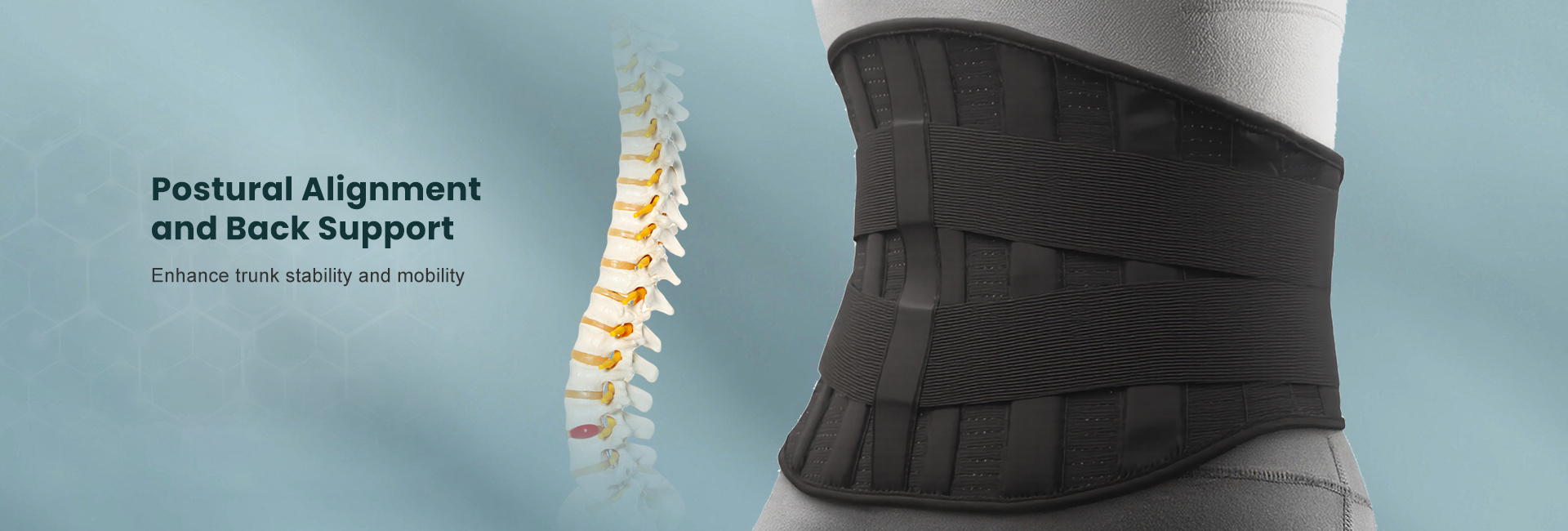 Postural Alignment and Back Support