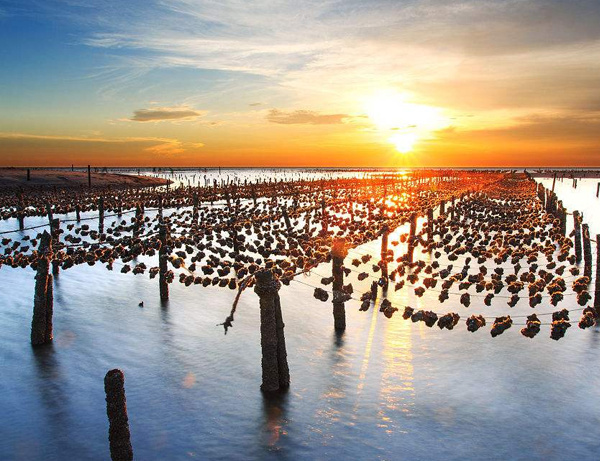 我國建造最大深海智能漁場 加快推動深遠(yuǎn)海漁業(yè)發(fā)展