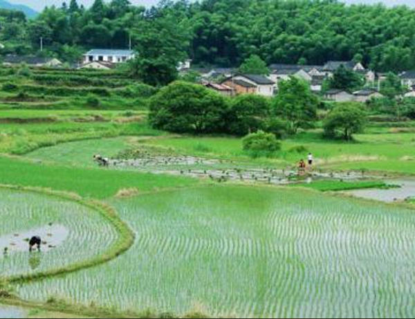 中國農(nóng)業(yè)機械制造業(yè)政策利好 推動行業(yè)快速發(fā)展