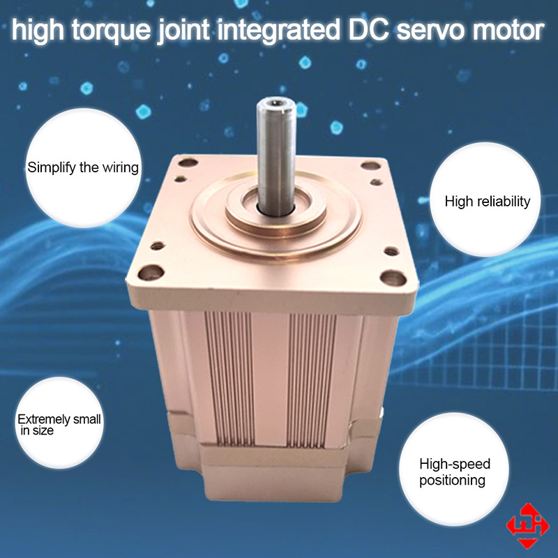 High Torque Joint Intergrated DC Servo Motor for Robot