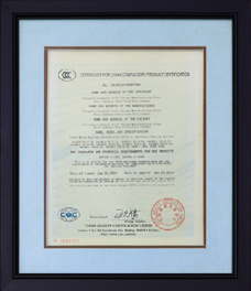 Enterprise qualification Enterprise qualification
