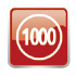 1000 1000