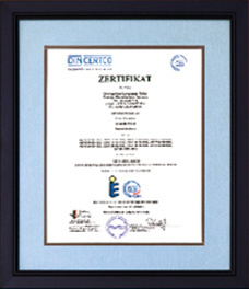 Enterprise qualification Enterprise qualification