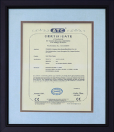 Enterprise qualification Enterprise qualification