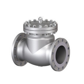 Check Valve