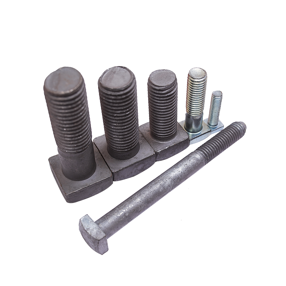 SQUARE HEAD BOLTS