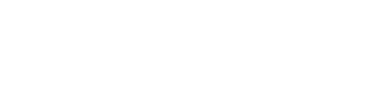 特点