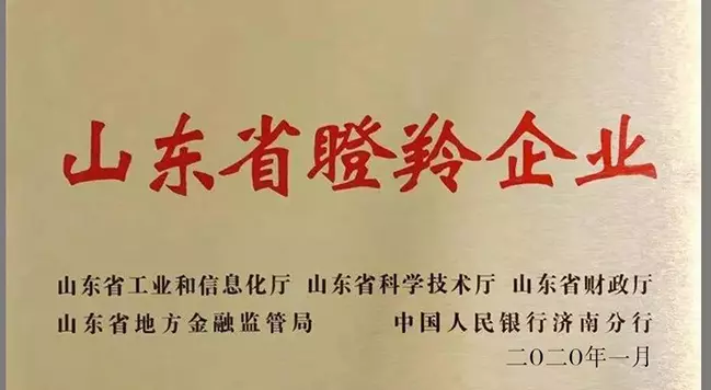 藍(lán)想環(huán)境被認(rèn)定為山東省第三批瞪羚企業(yè)