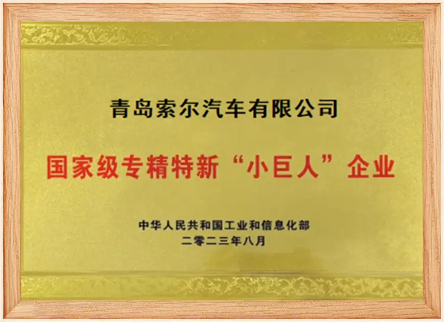 National level specialized and innovative little giant National level specialized and innovative little giant