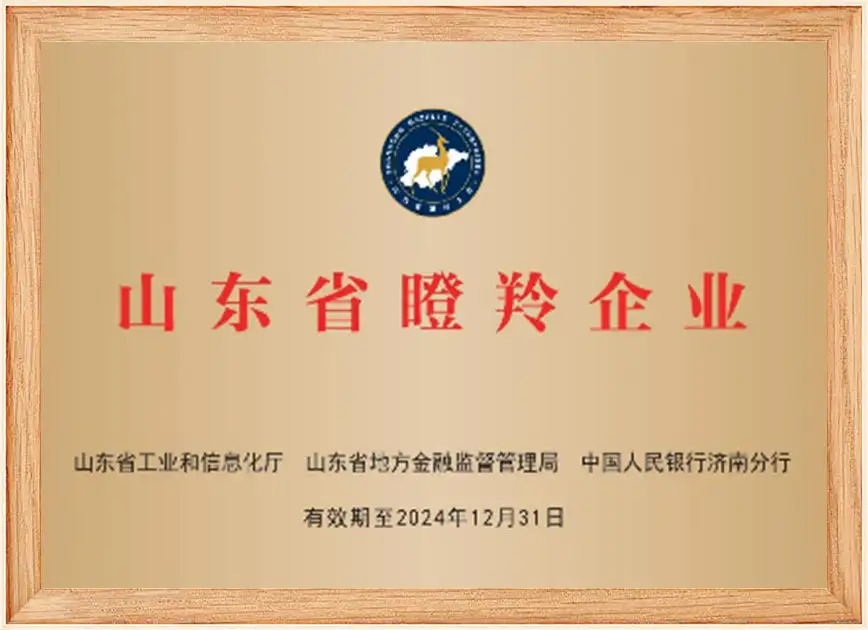 Shandong Gazelle Enterprise Shandong Gazelle Enterprise