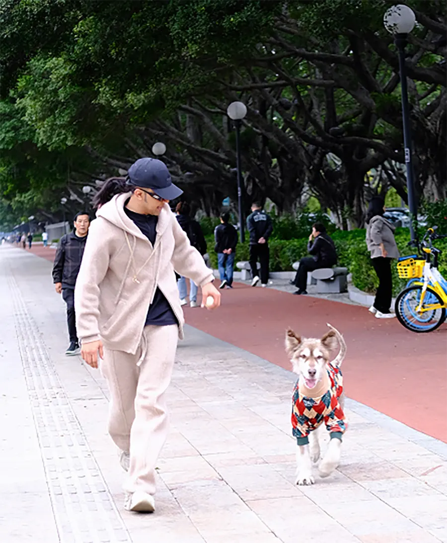 阿夫和Domi的故事1