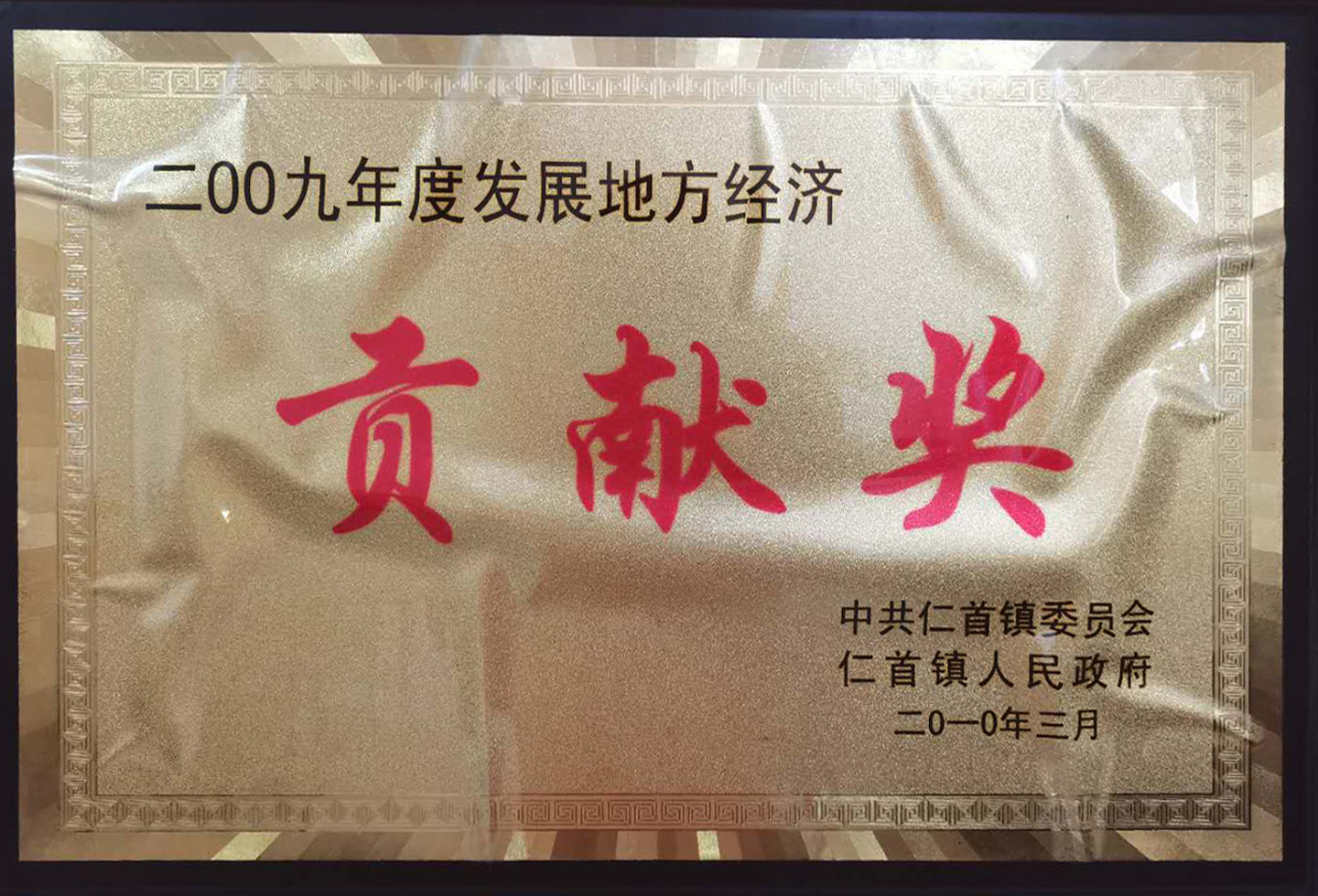 Contribution Award