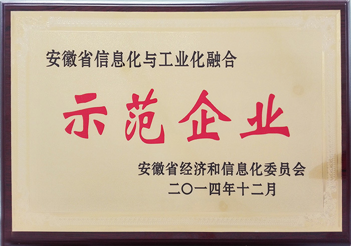 Demonstration enterprise