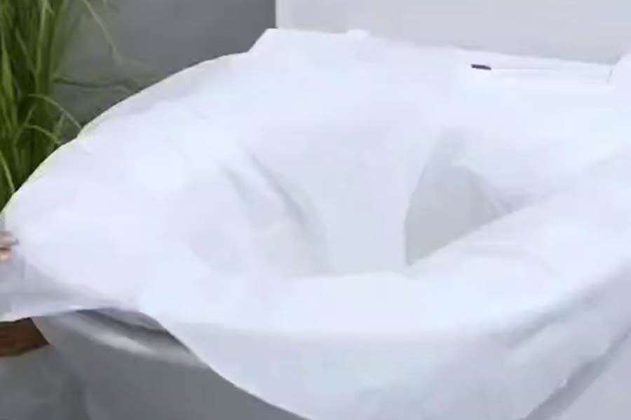 Disposable toilet seat sanitizer bag