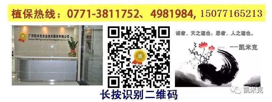 凯米克