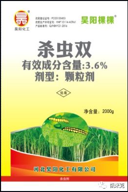 水稻二化螟
