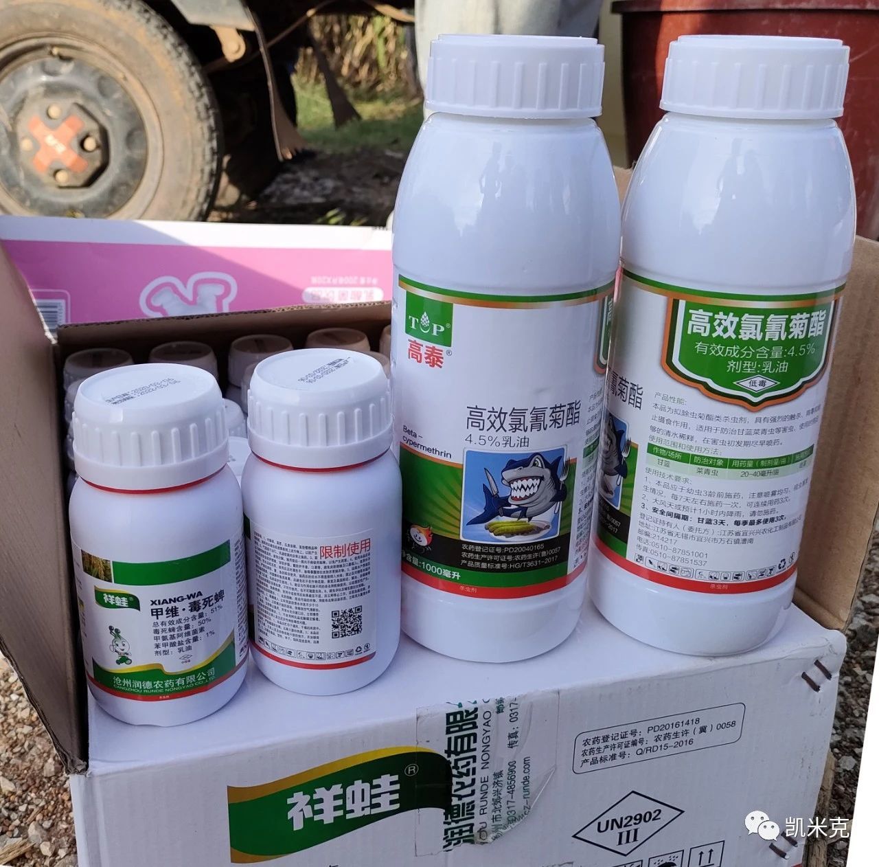 万亩粘虫 防控进行时