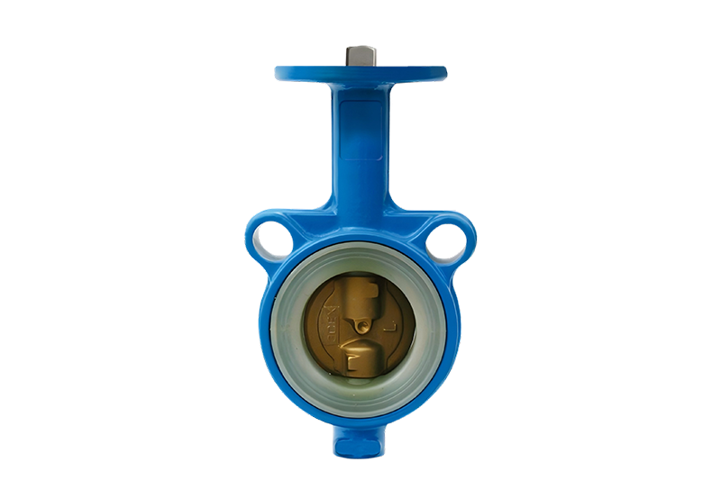 Center Line Butterfly Valve