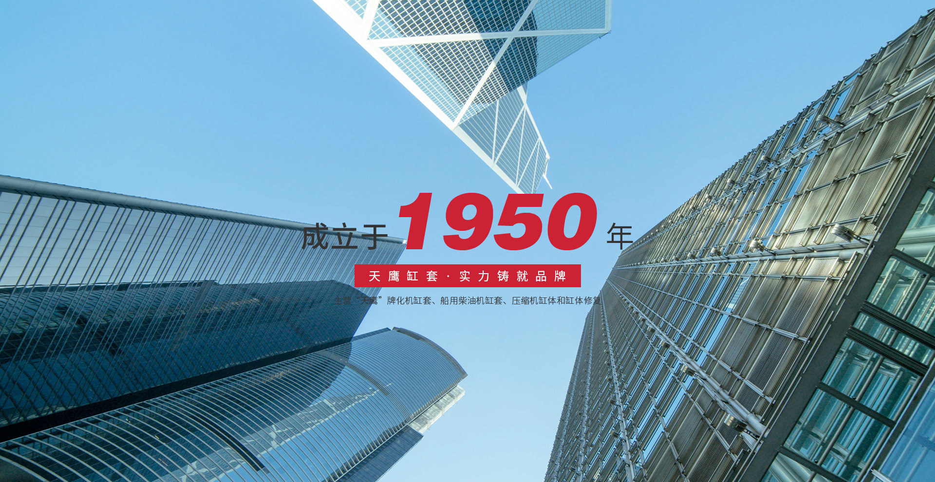 河南省黄泛区天鹰缸套股份有限公司