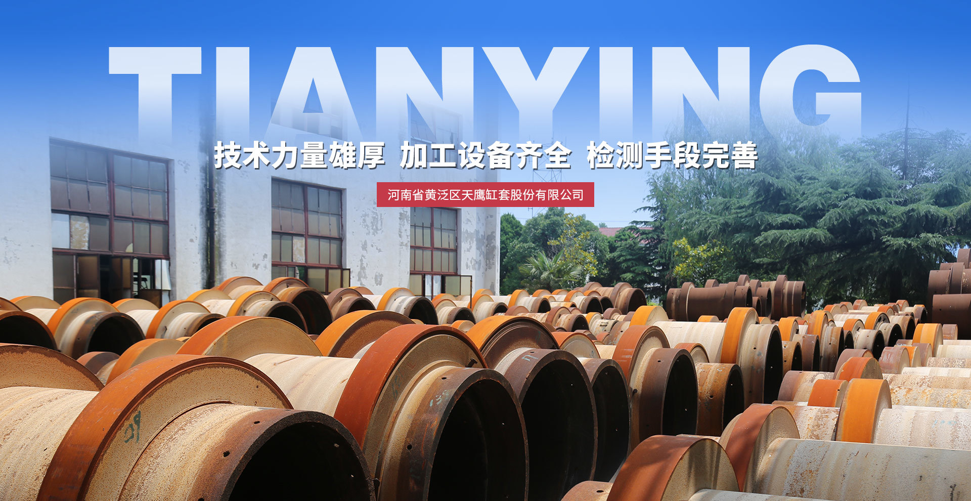 河南省黄泛区天鹰缸套股份有限公司