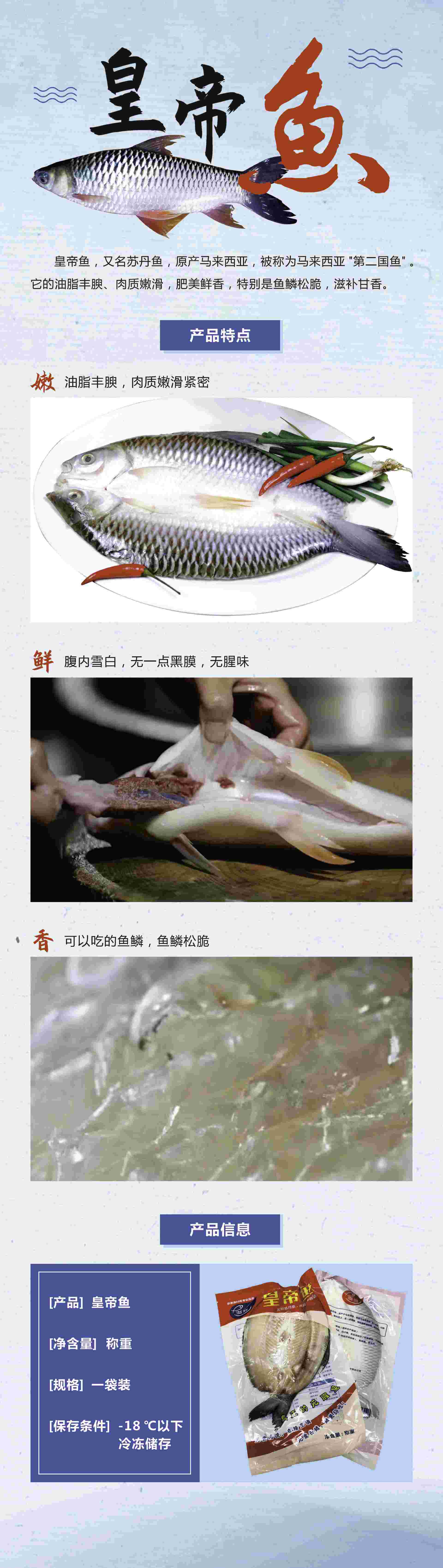 蘇丹魚