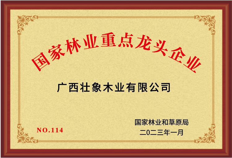国家林业重点龙头企业