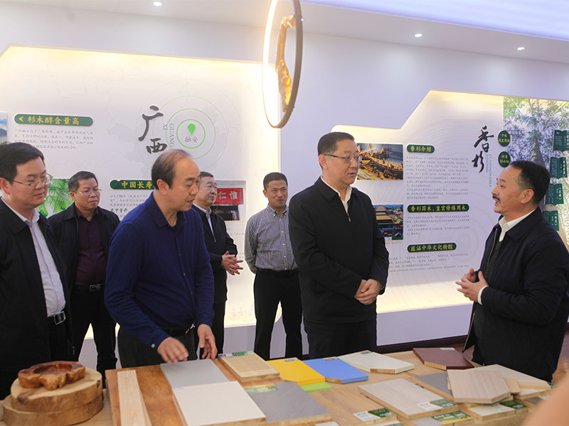 柳州市市长张壮（前左二）到公司视察