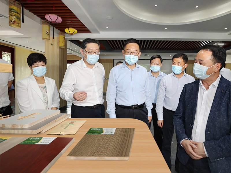 中央委员、广西壮族自治区党委书记刘宁(右前二)到公司视察