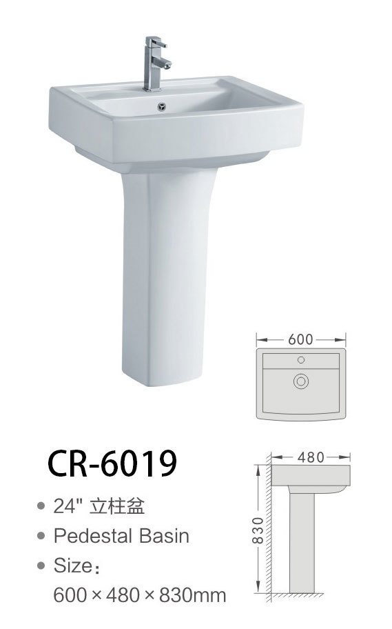 CR-6019