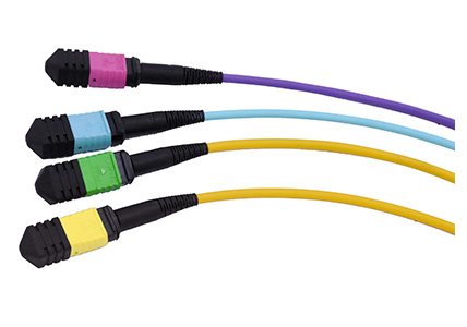 MPO/MTP Cable Assembly