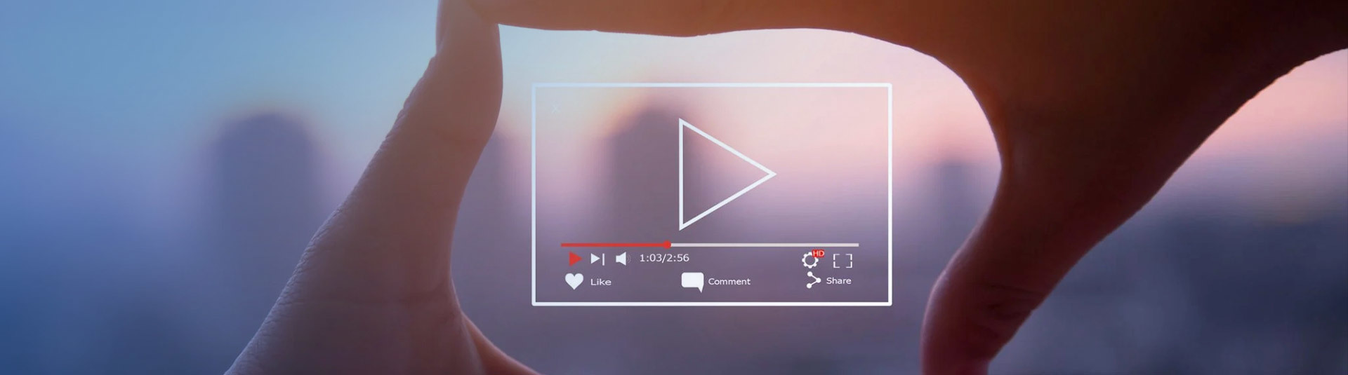 Video case