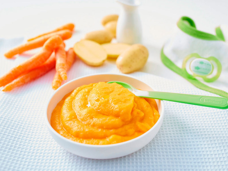 The Practical Role of Baby Food Blenders in Parenting