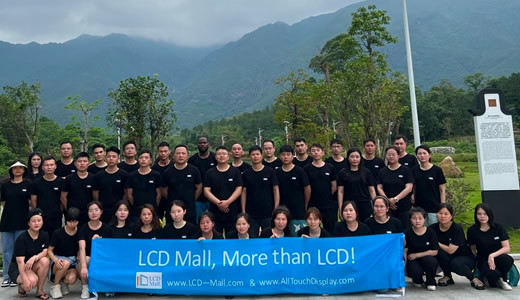 LCD MALL Limited team building trip