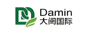 大闽国际
