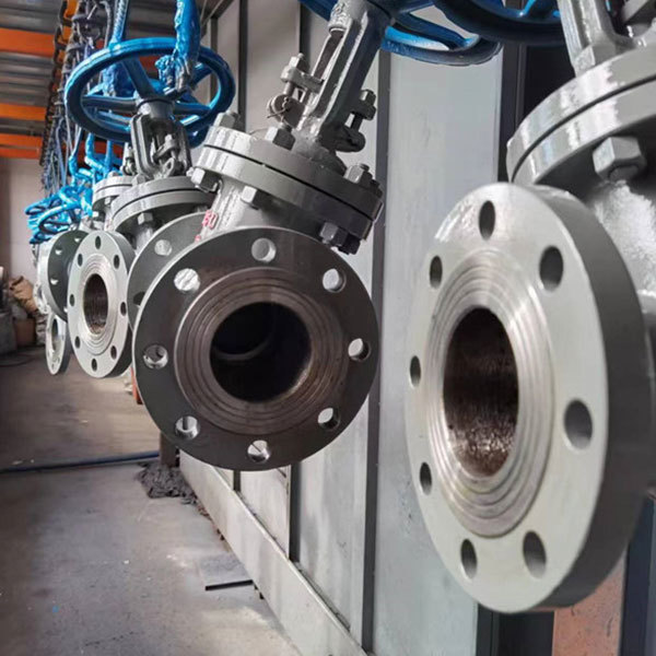 Anti-corrosion waterborne paints for pumps and valves
