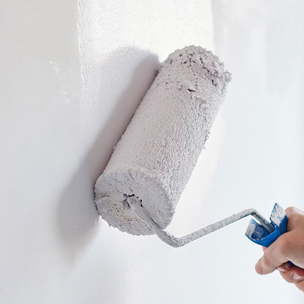 Net odor interior wall emulsion paint