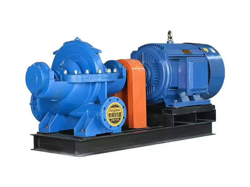 Double suction pump