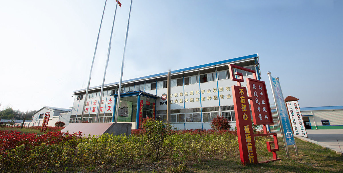 红安伟杰现代农业发展有限公司