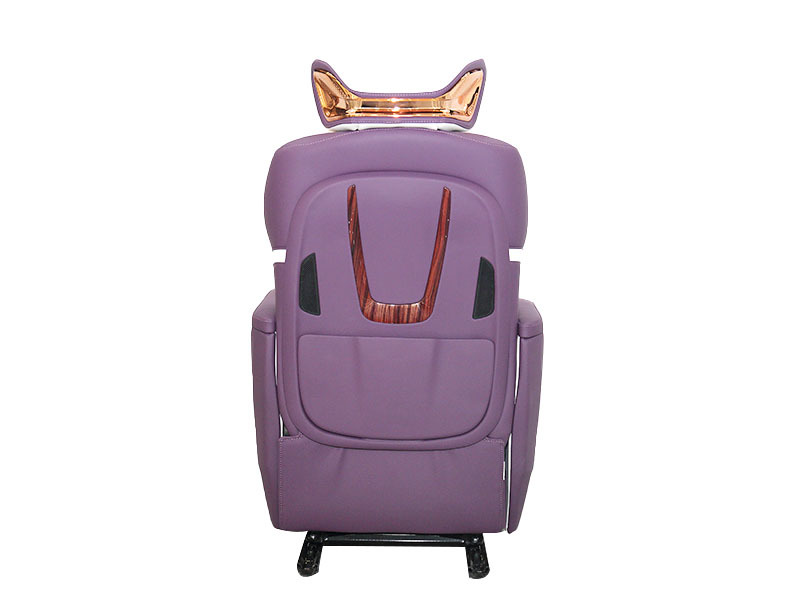 FL-021 Genesis model Purple FL-021 Genesis model Purple
