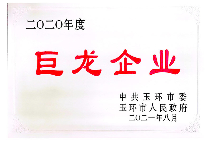 2020巨龙企业 2020巨龙企业