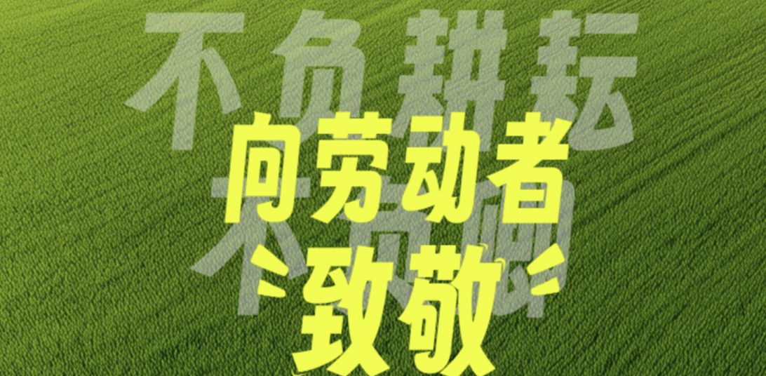 向辛勤耕耘的劳动者致敬，为拼搏奋斗的追梦人喝彩
