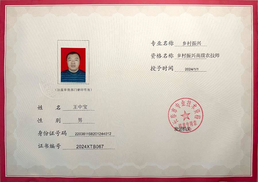 专业技术资格证