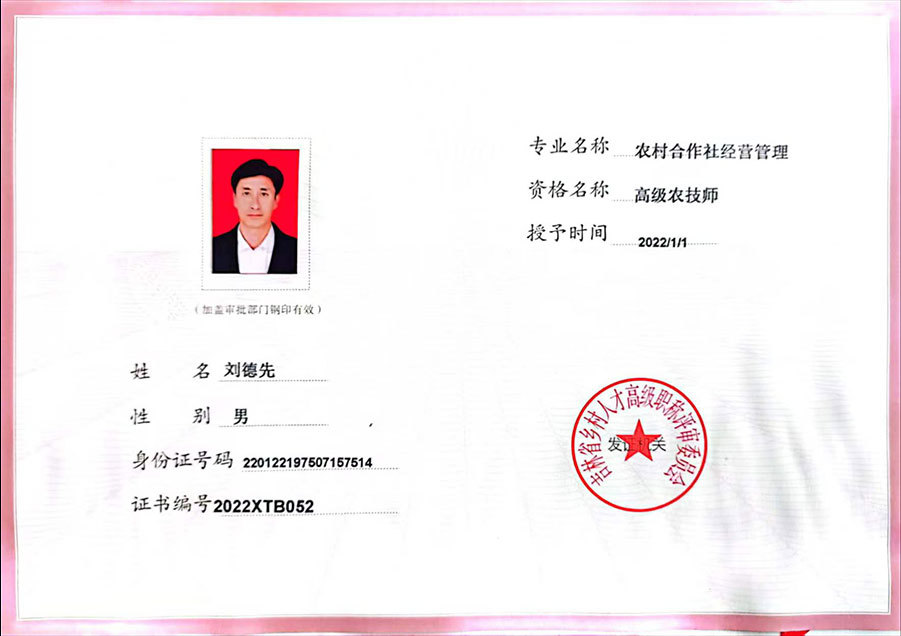 专业技术资格证