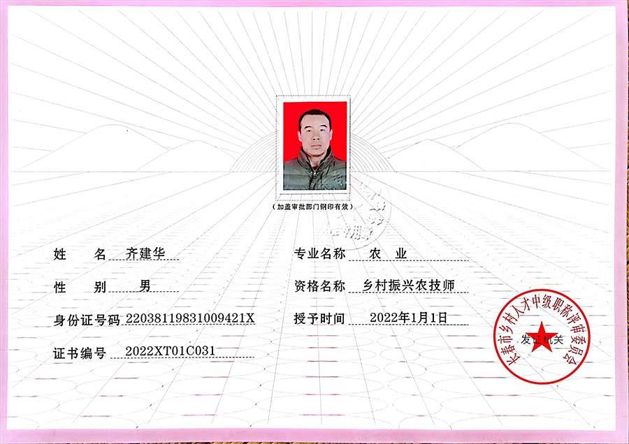 专业技术资格证