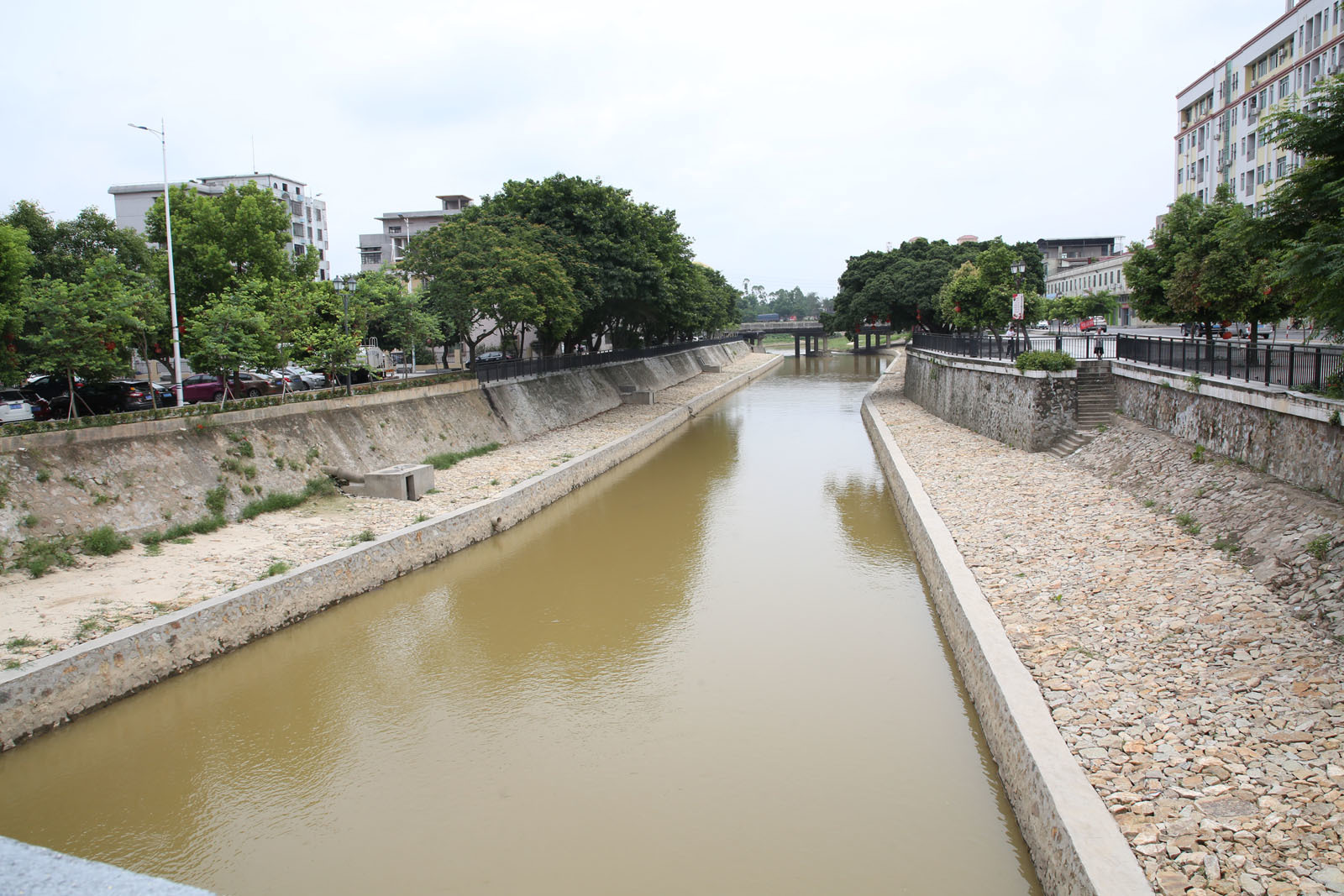 鶴山市中小河流龍口項目區