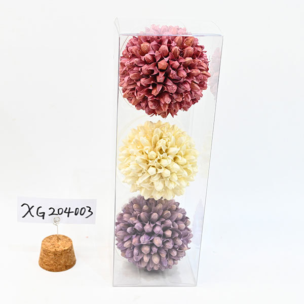 XG204003